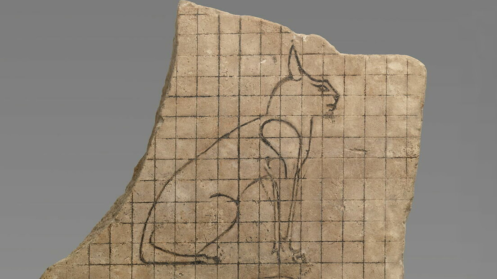 <p>Фрагмент ученической таблички&nbsp;из&nbsp;Древнего&nbsp;Египта. На ней процарапаны сетка,&nbsp;контуры кошки и других животных</p>