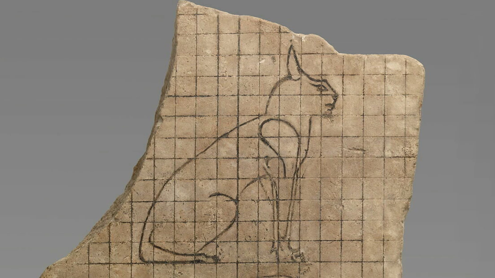 <p>Фрагмент ученической таблички&nbsp;из&nbsp;Древнего&nbsp;Египта. На ней процарапаны сетка,&nbsp;контуры кошки и других животных</p>