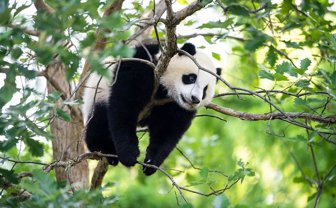 Drew Angerer / Getty Images