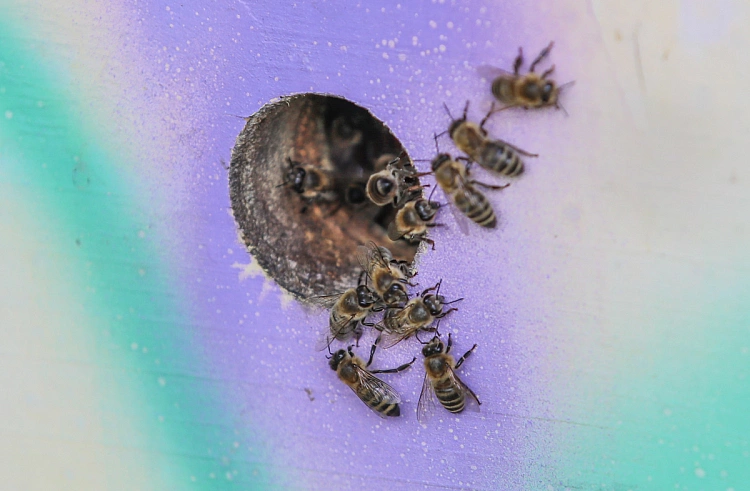 Правительство Приморского края