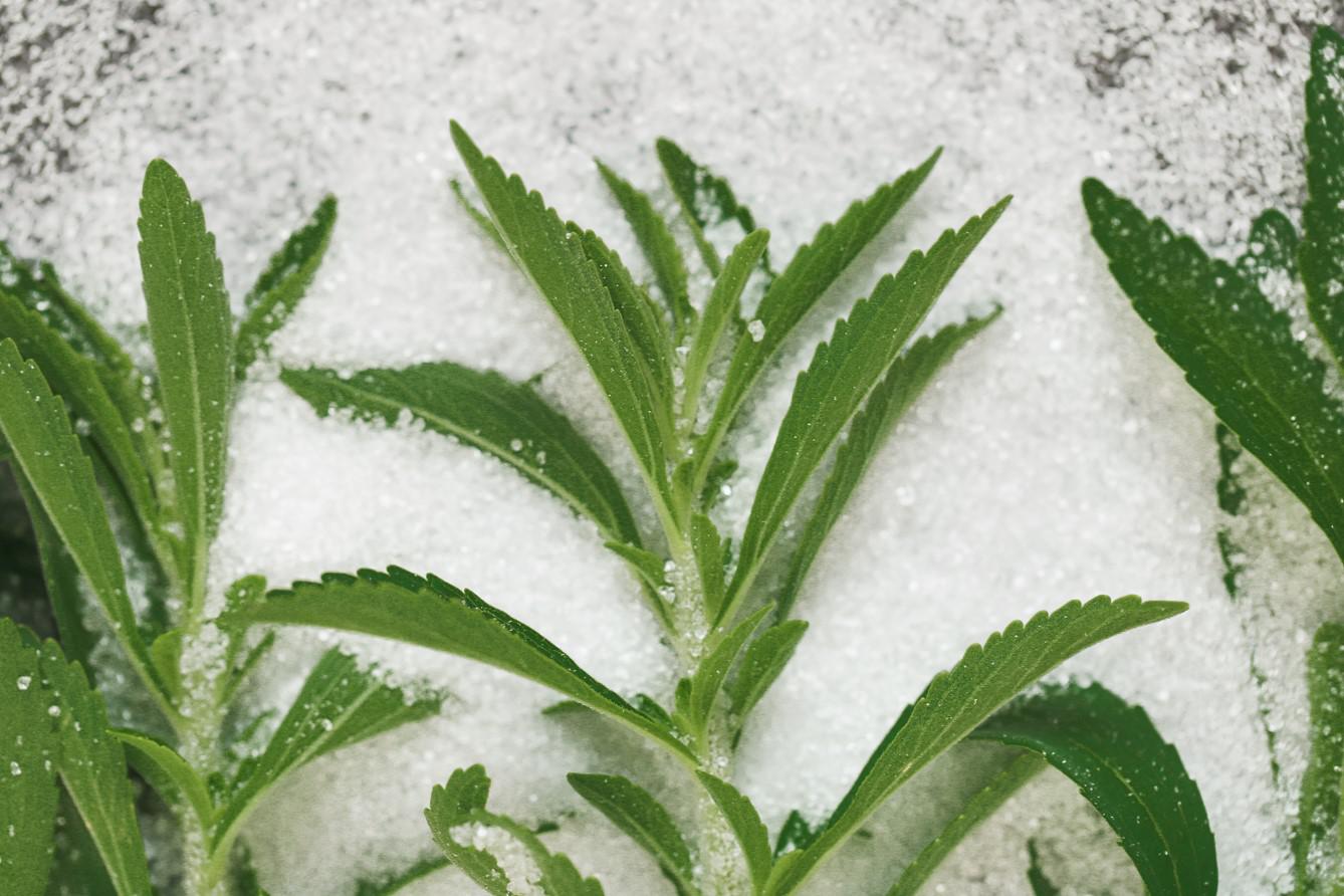 Фото: yul38885 / Shutterstock / FOTODOM