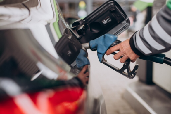 Фото: freepik.com