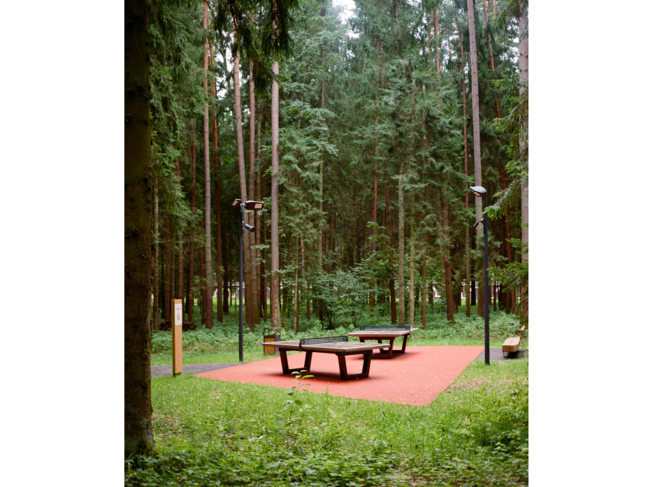 Масловский лесопарк