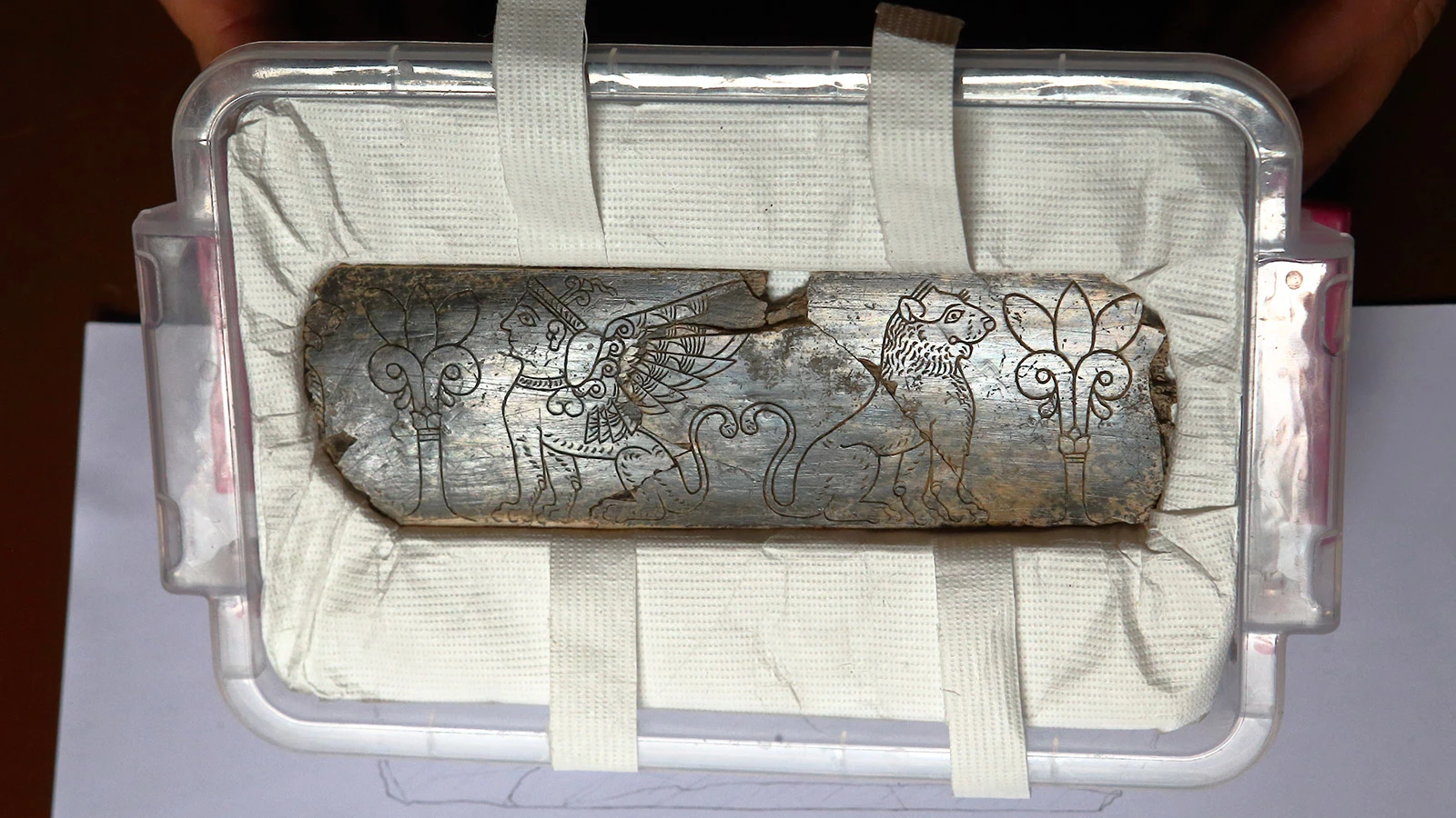 <p>В Турции нашли слоновую кость возрастом 2,8 тыс. лет. Она богата украшена. На артефакте резьба с изображением сфинкса, льва и &laquo;древ жизни&raquo;</p>