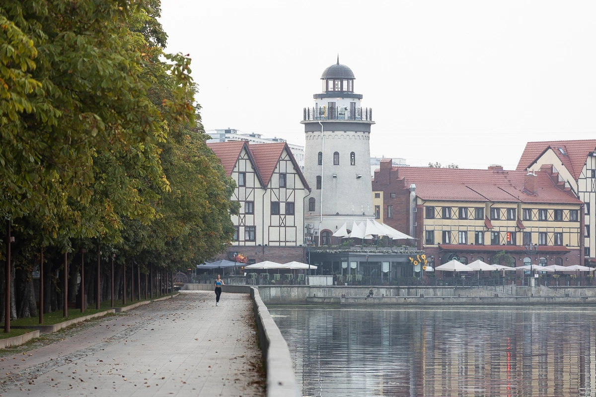 Александр Подгорчук