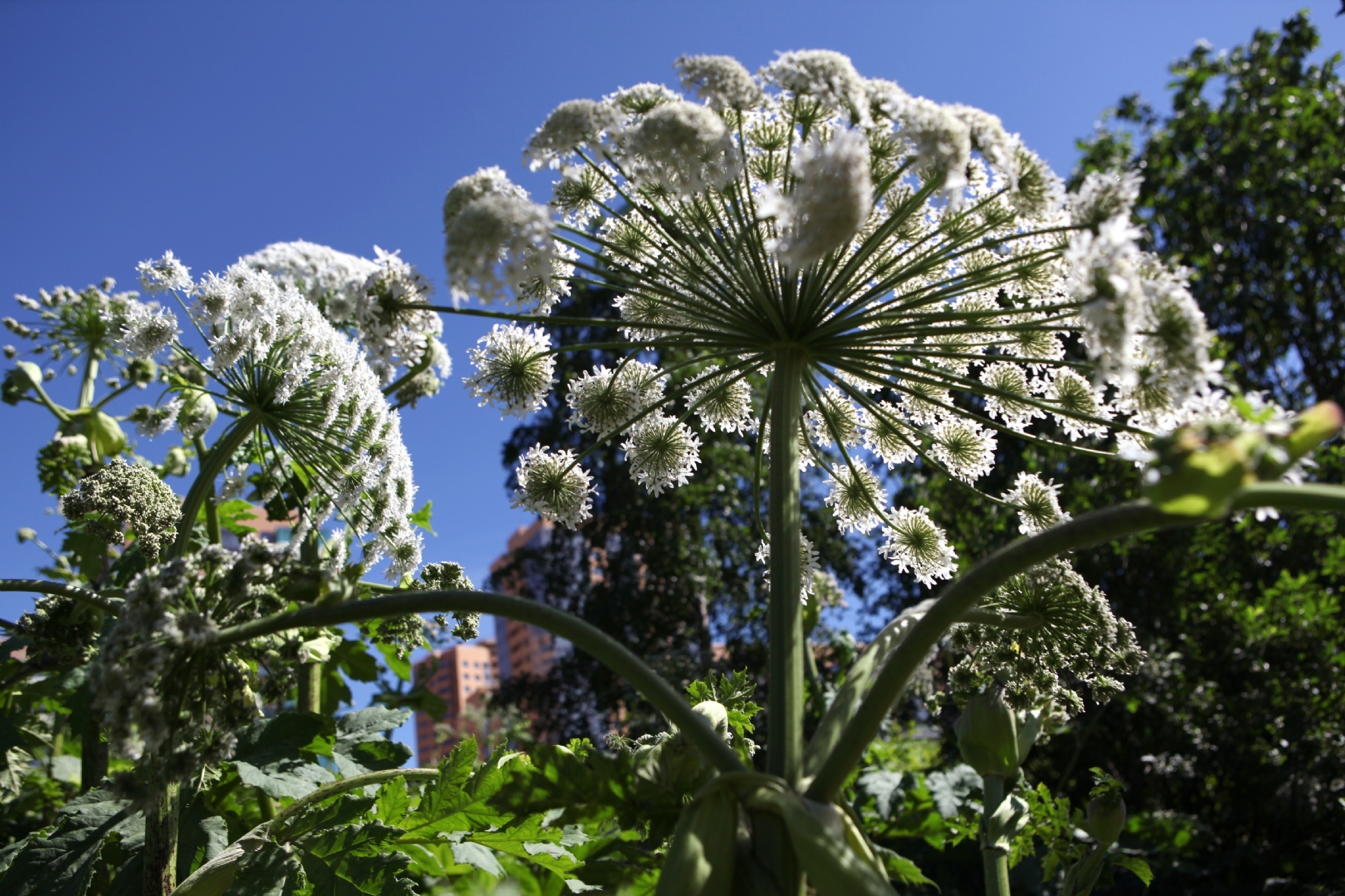 Фото: Тимирханова Татьяна / PhotoXPress.ru