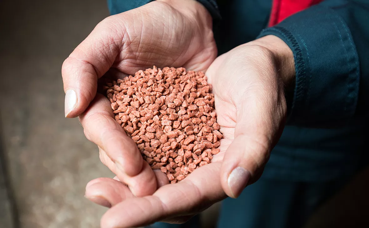 Виталий Тимкив / РИА Новости