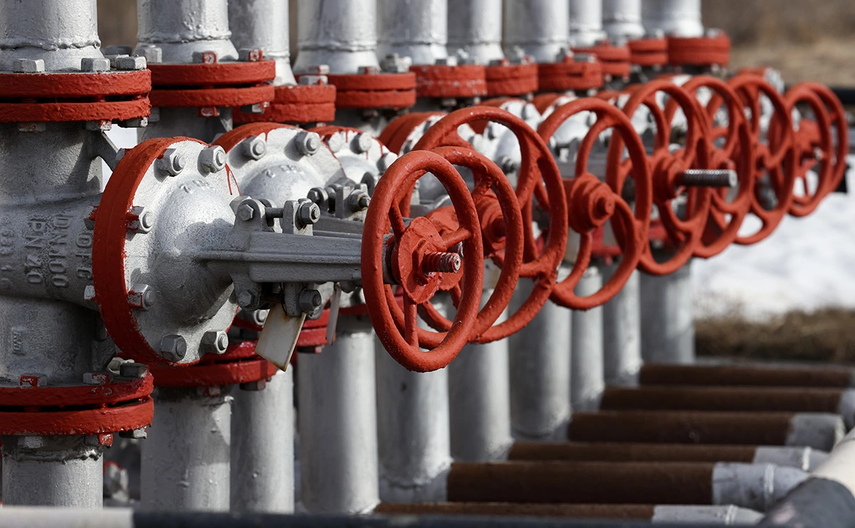 Егор Алеев / ТАСС