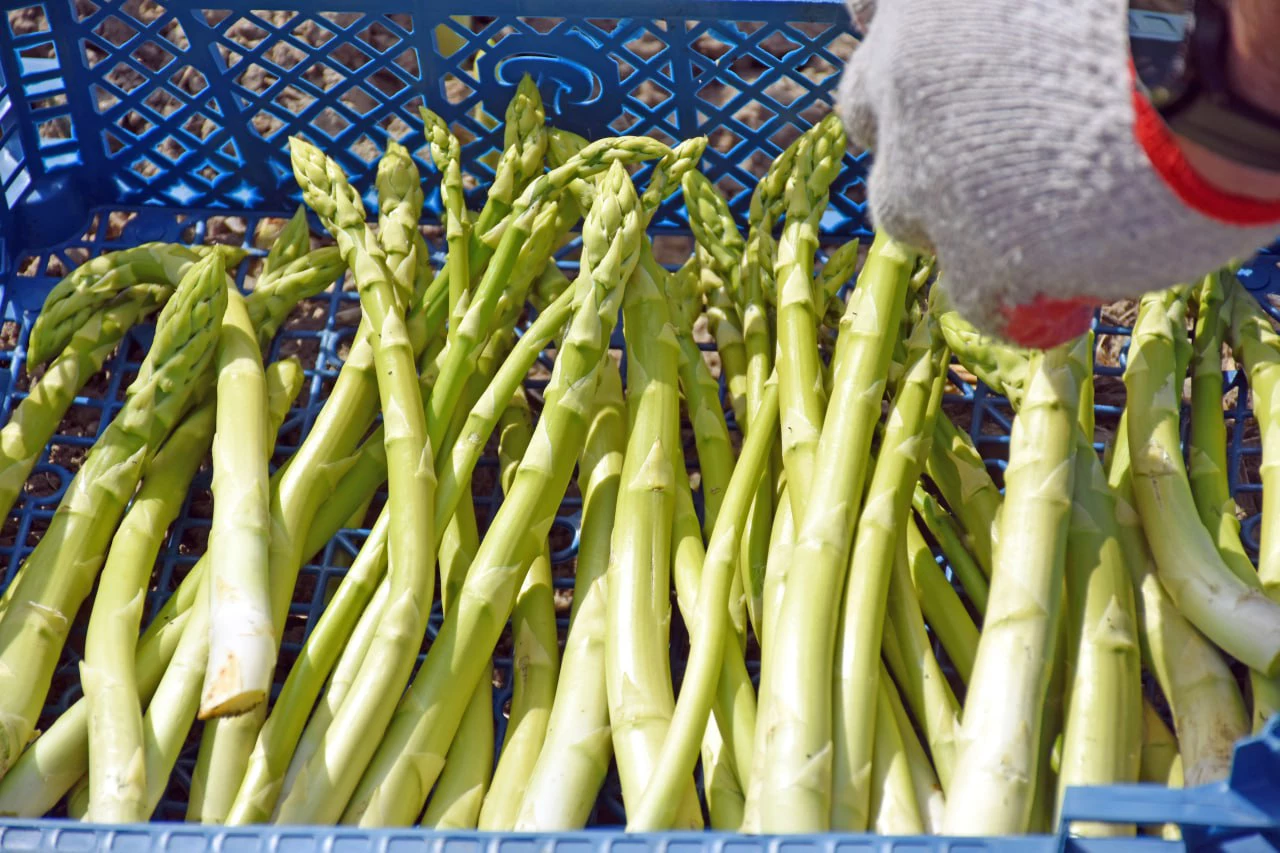 министерство сельского хозяйства региона