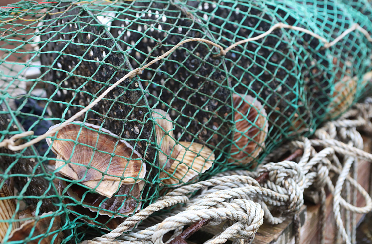 Правительство Приморского края