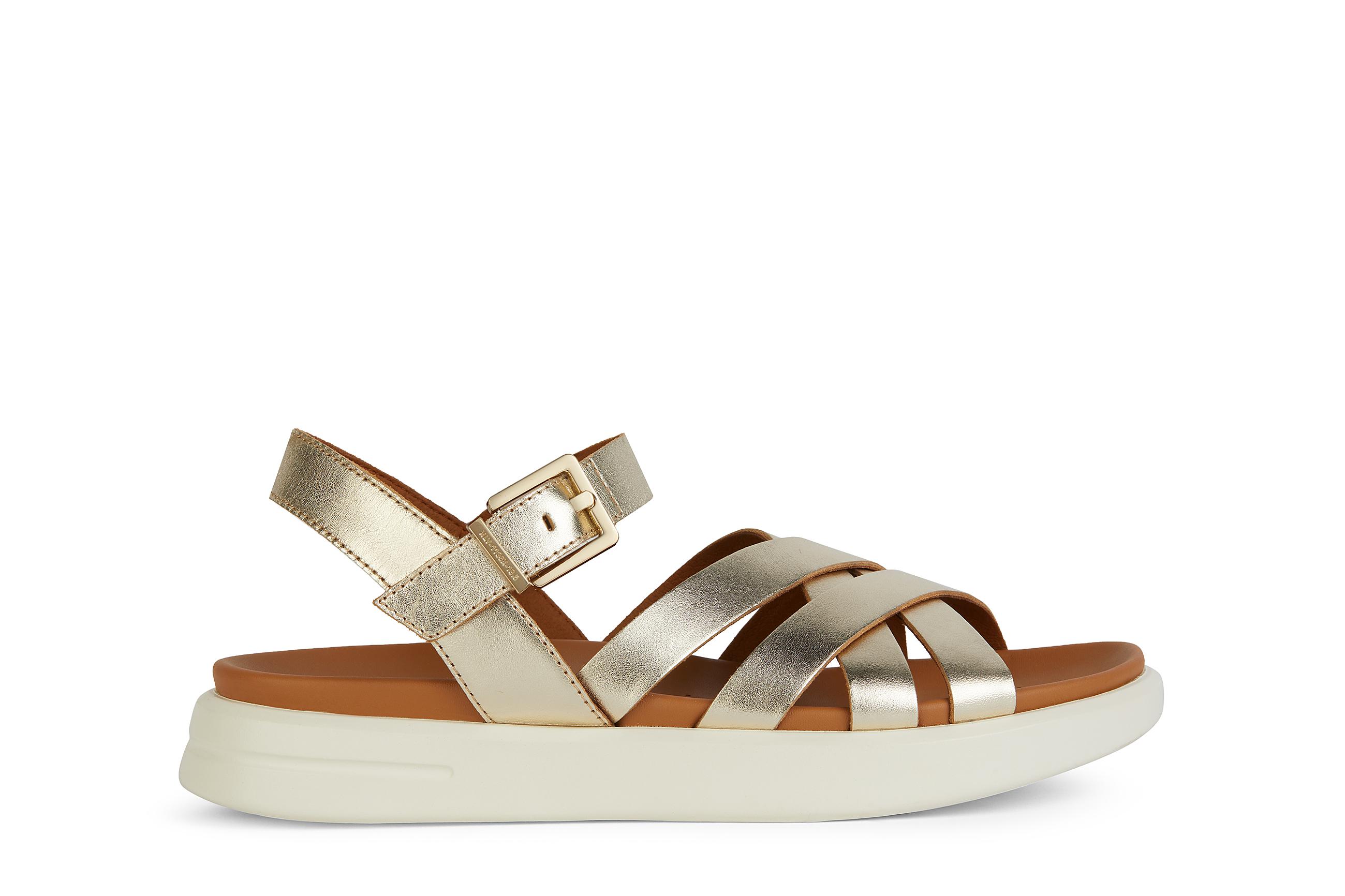 Xand 2S, Geox