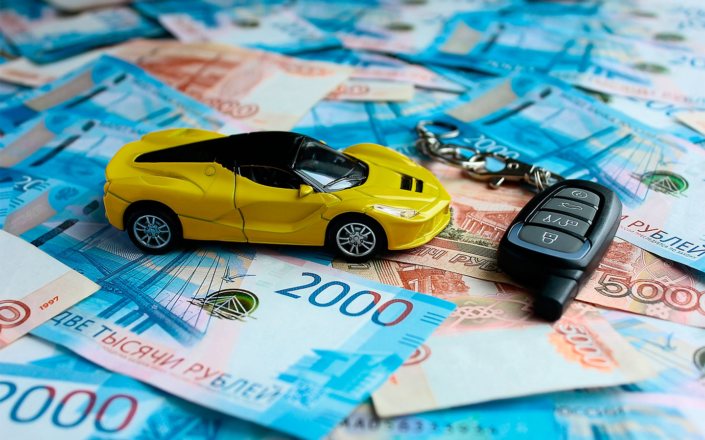 Фото: Olga Bocharnikova / Shutterstock / FOTODOM