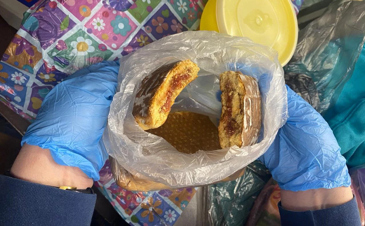 ФСИН России