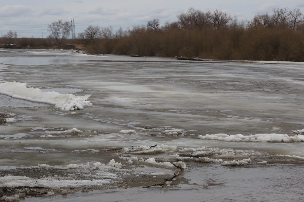 Денис Моргунов / URA.RU