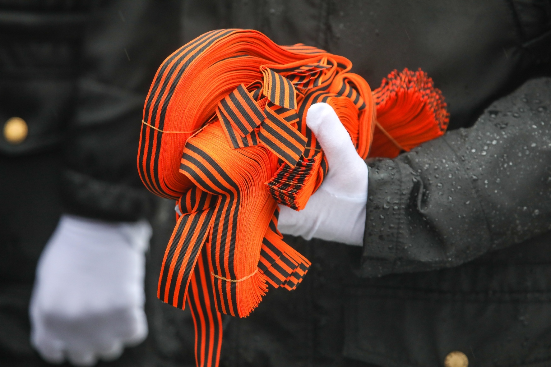 Фото: Пименов Роман / PhotoXPress.ru