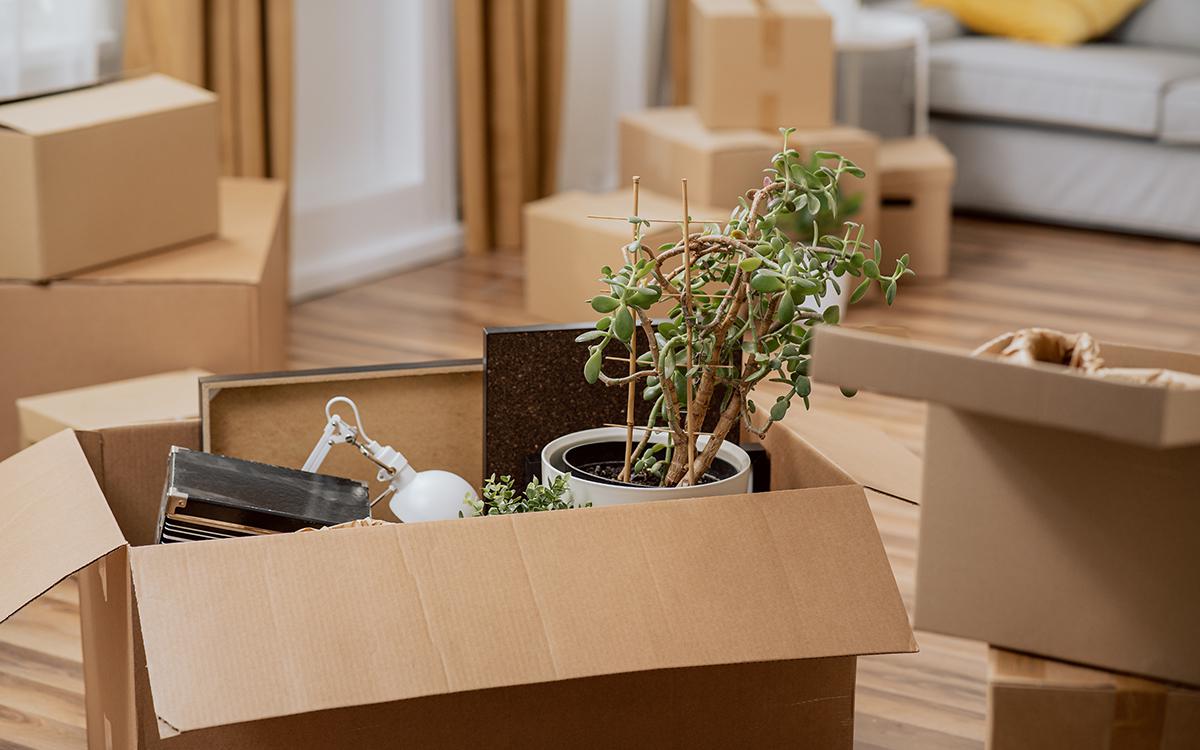 Фото: Trzykropy / Shutterstock / FOTODOM