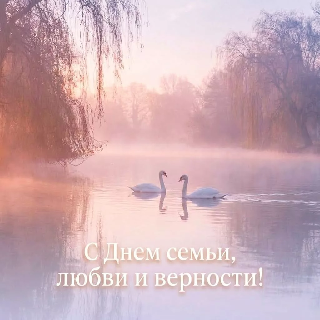Открытка с лебедями в утреннем тумане и надписью «С Днем семьи, любви и верности!»