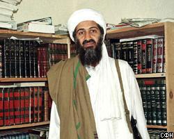Сети бен Ладена опутали 34 государства
