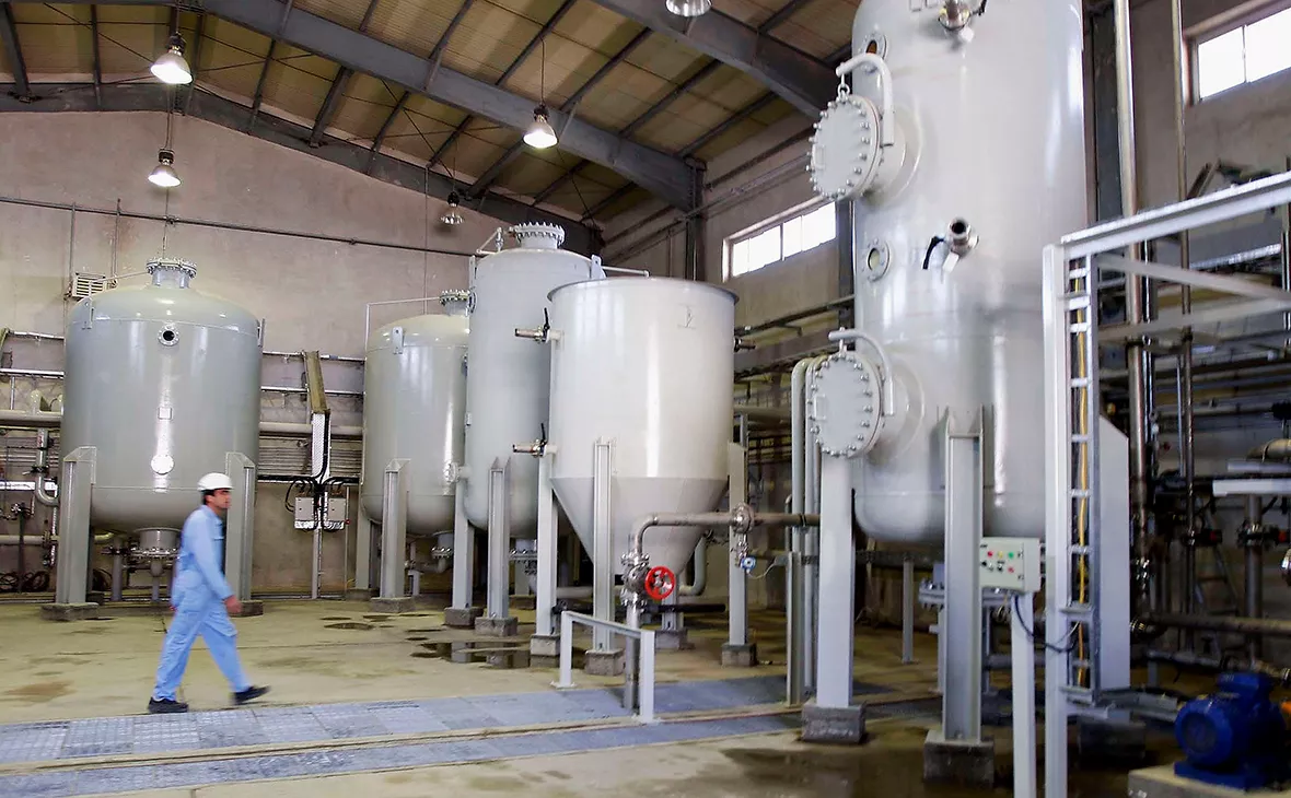 Majid Saeedi / Getty Images