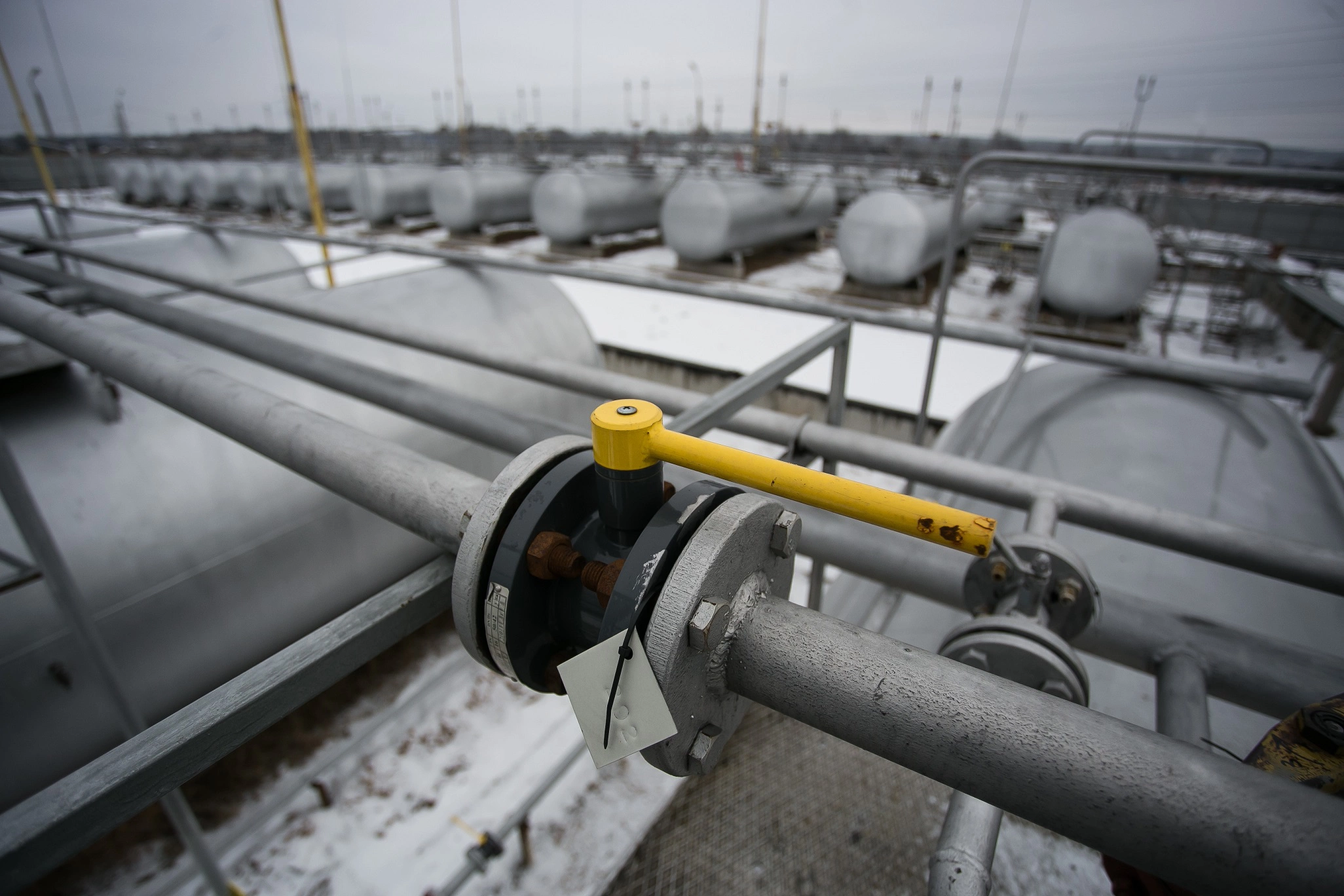 Александр Подгорчук