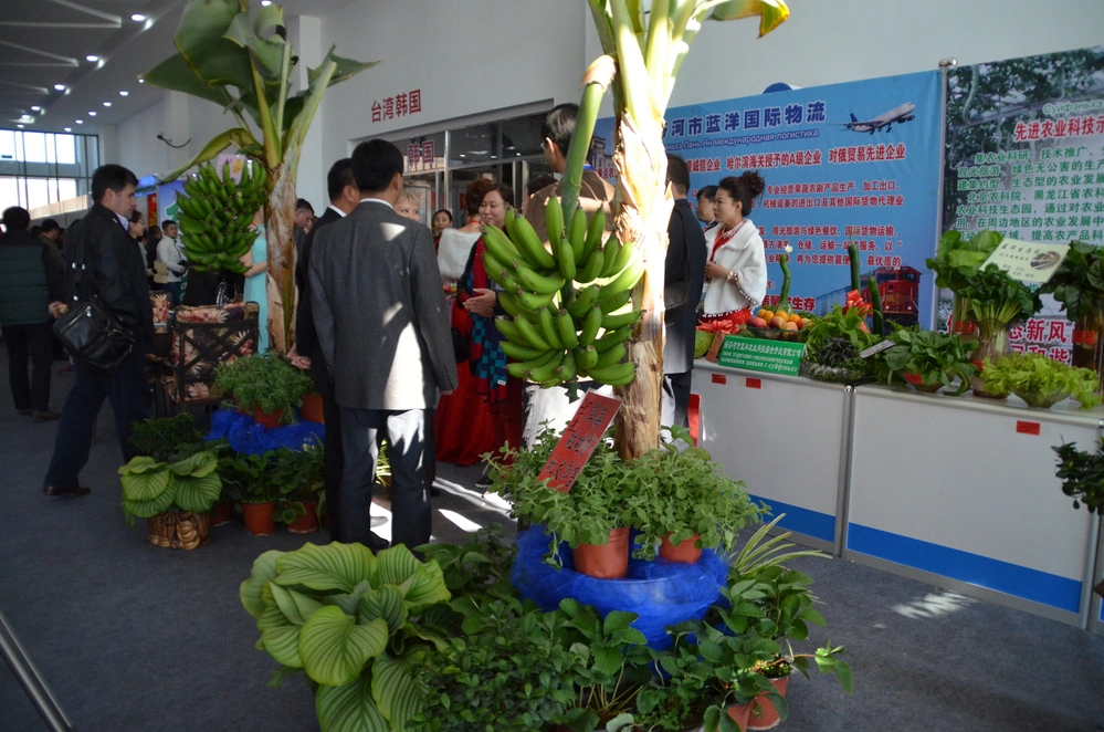 РБК Приморье