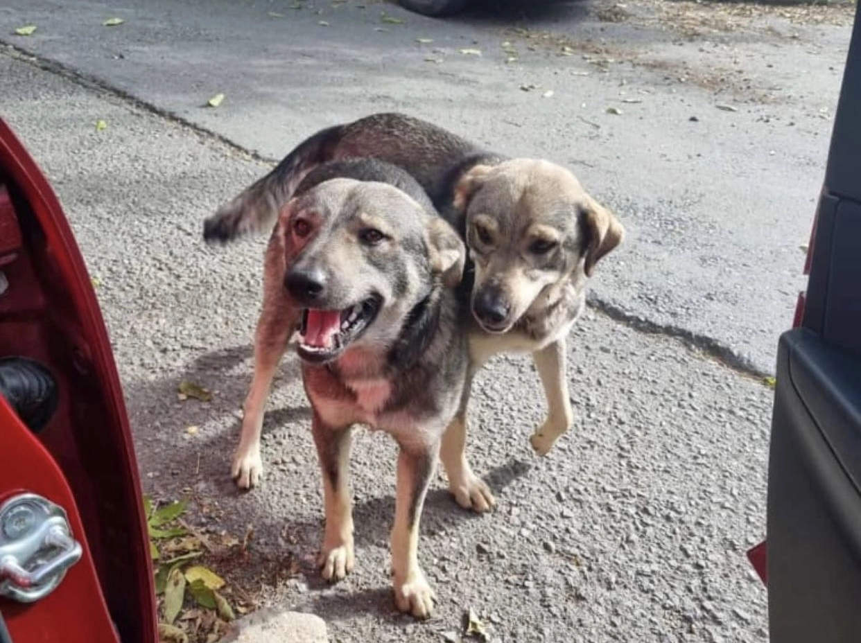 РБК Приморье