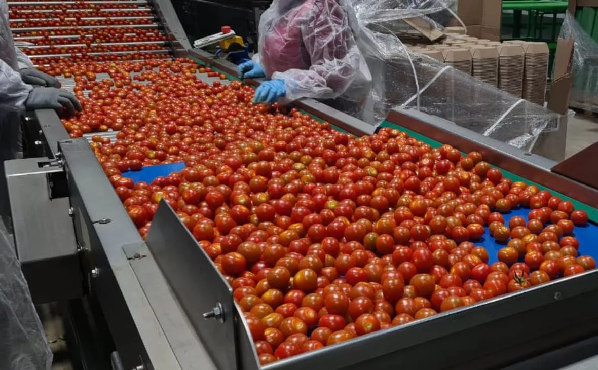 РБК Черноземье