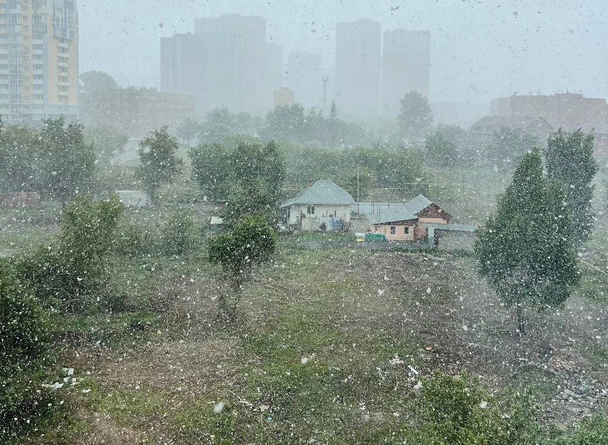 РБК Новосибирск