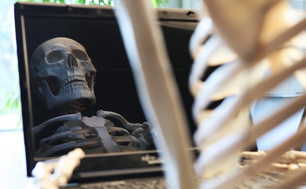 Фото:scully / imageBROKER.com / Global Look Press