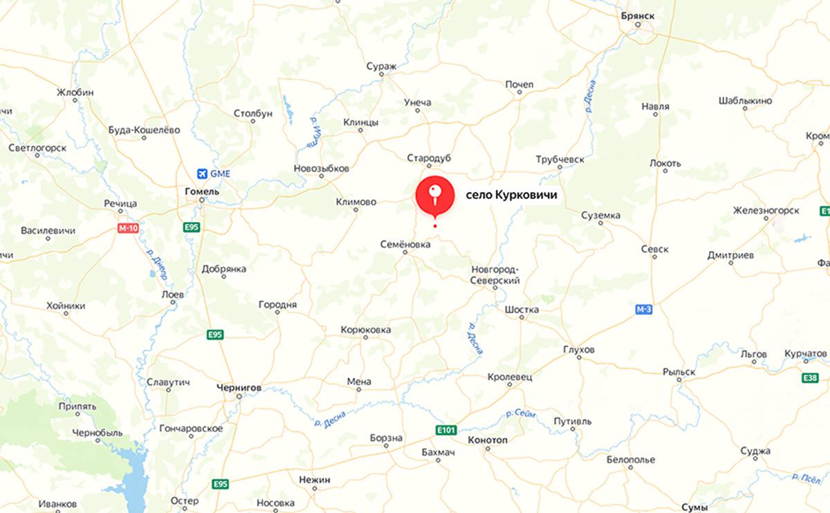 В Брянской области обстреляли село Курковичи