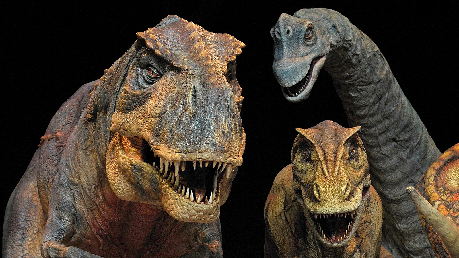 Ученые из Канады открыли новую причину вымирания динозавров | РБК Life