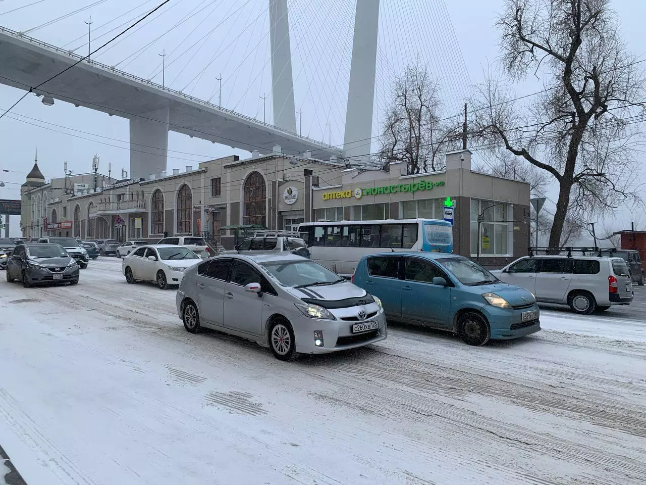 РБК Приморье