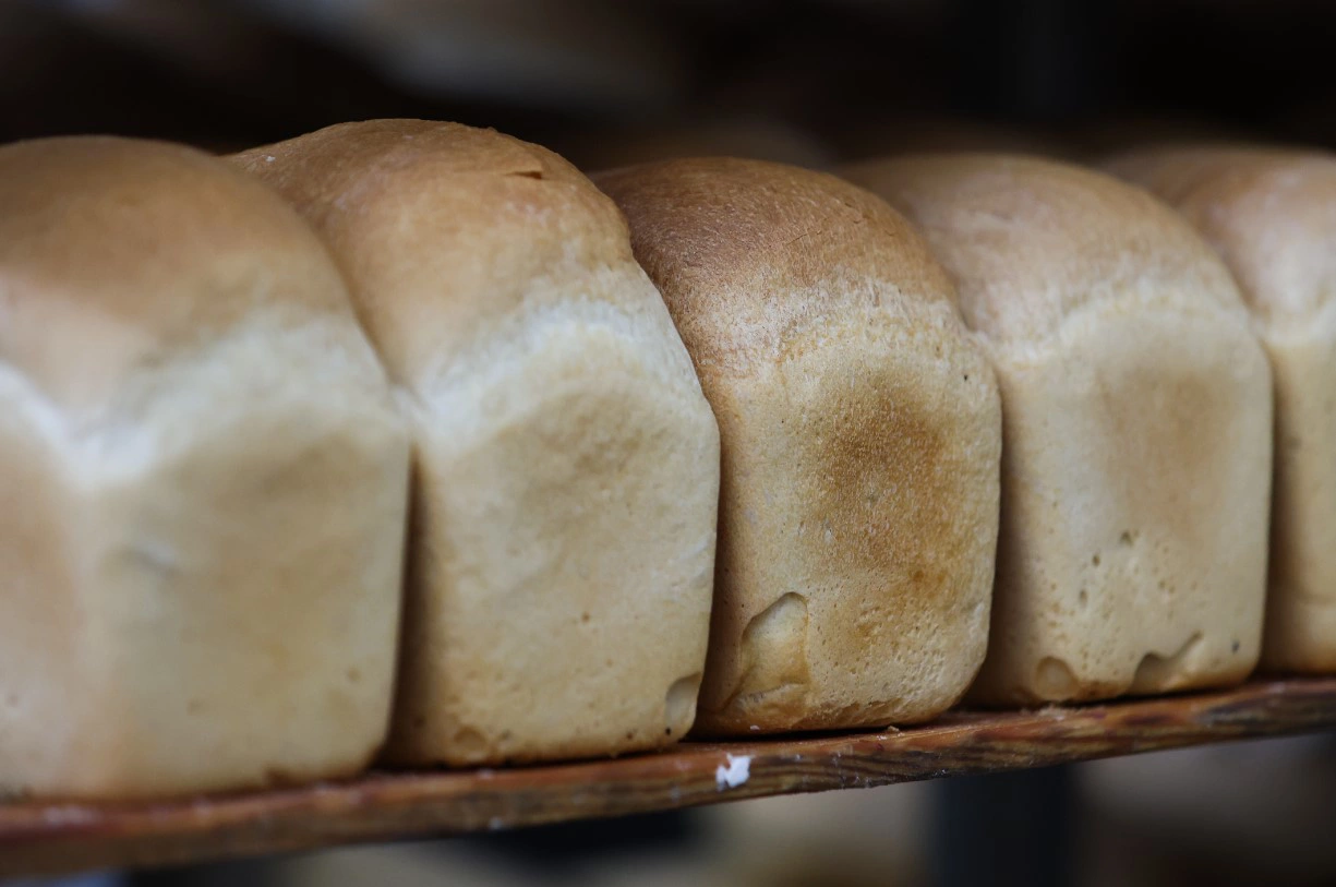 Екатерина Сычкова / РИА URA.RU