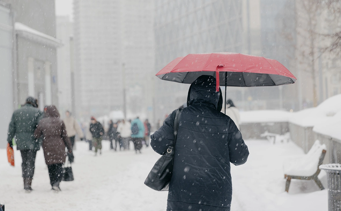 Михаил Гребенщиков / РБК