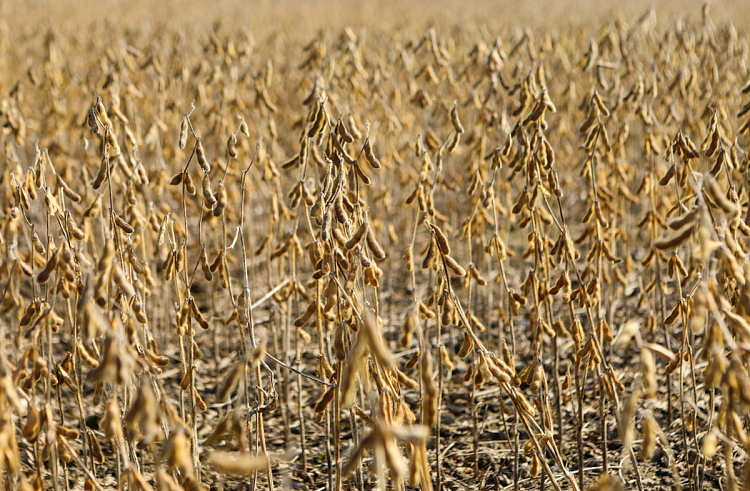 Правительство Приморского края