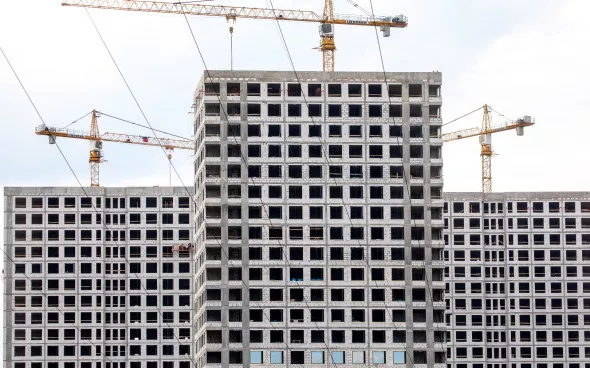 Марина Лысцева / ТАСС 