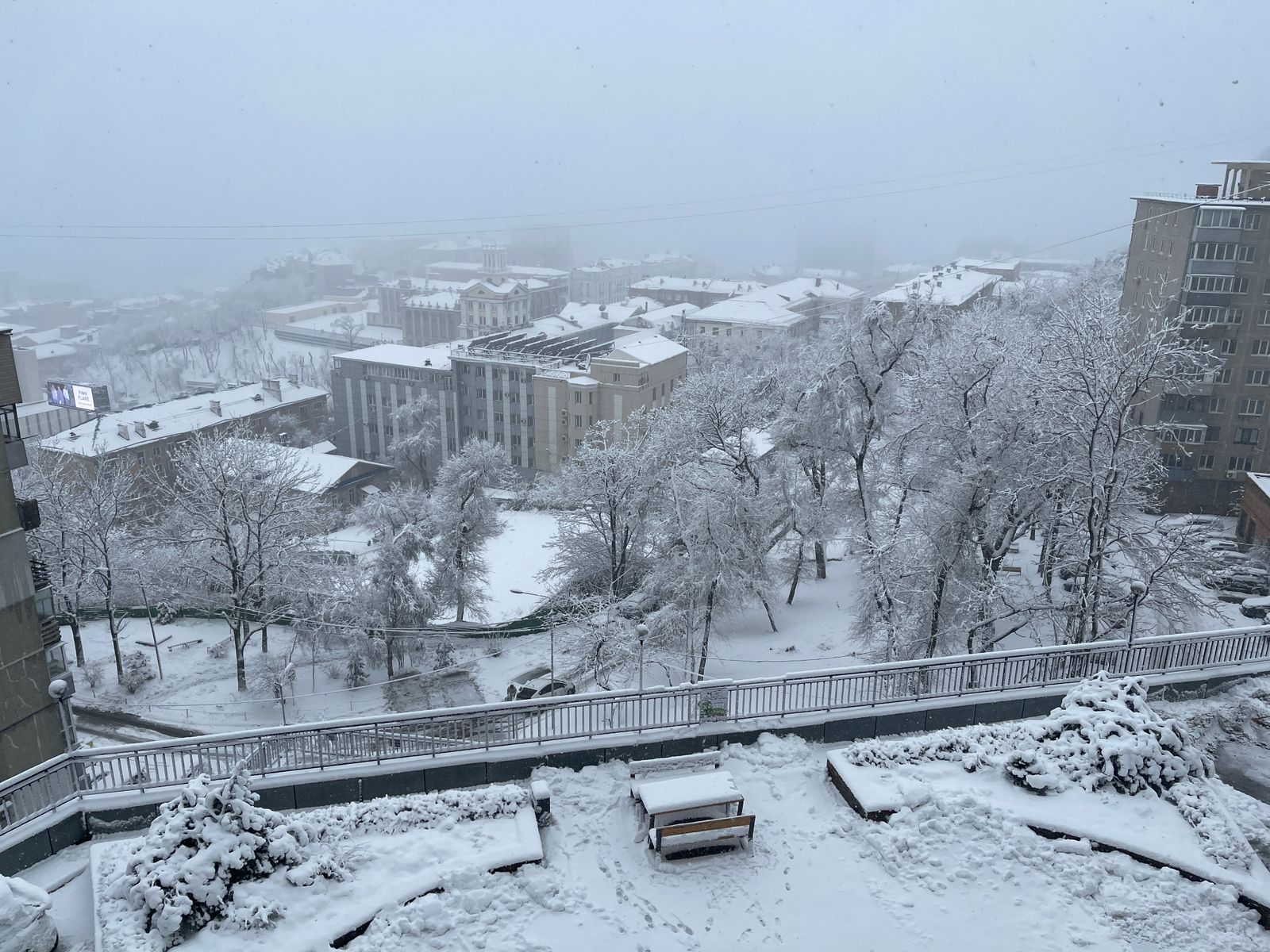 Фото: РБК Приморье