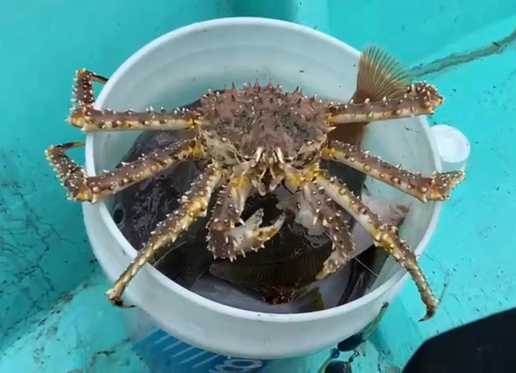 РБК Приморье