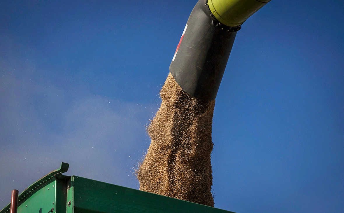Ed Ram / Getty Images