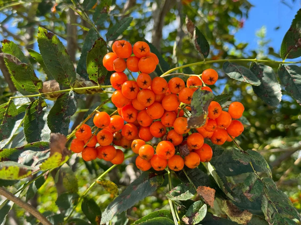 РБК Приморье