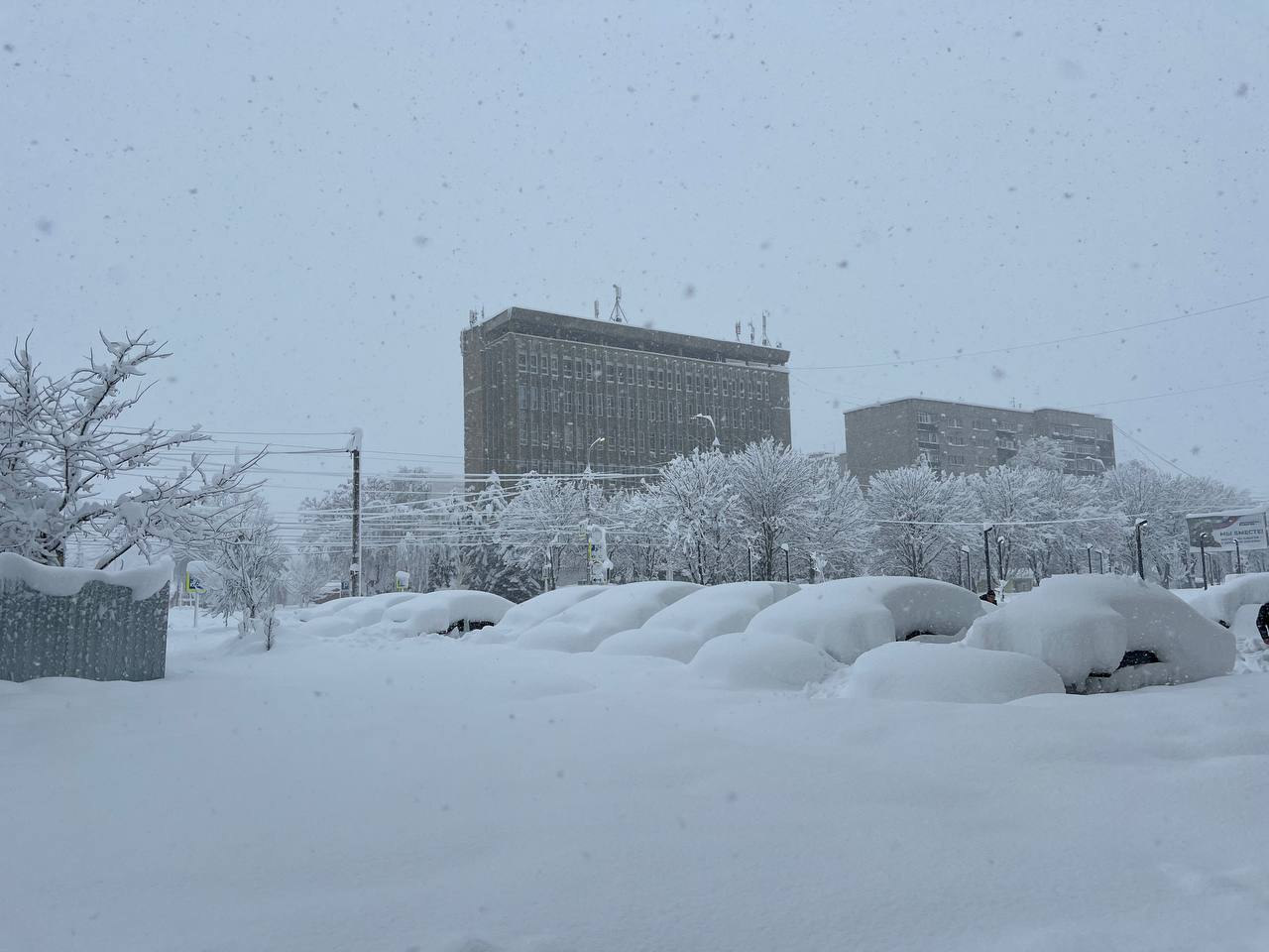 Фото: Наталья Радчук, РБК Краснодар
