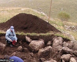 Ученые раскопали останки грызуна размером с автомобиль