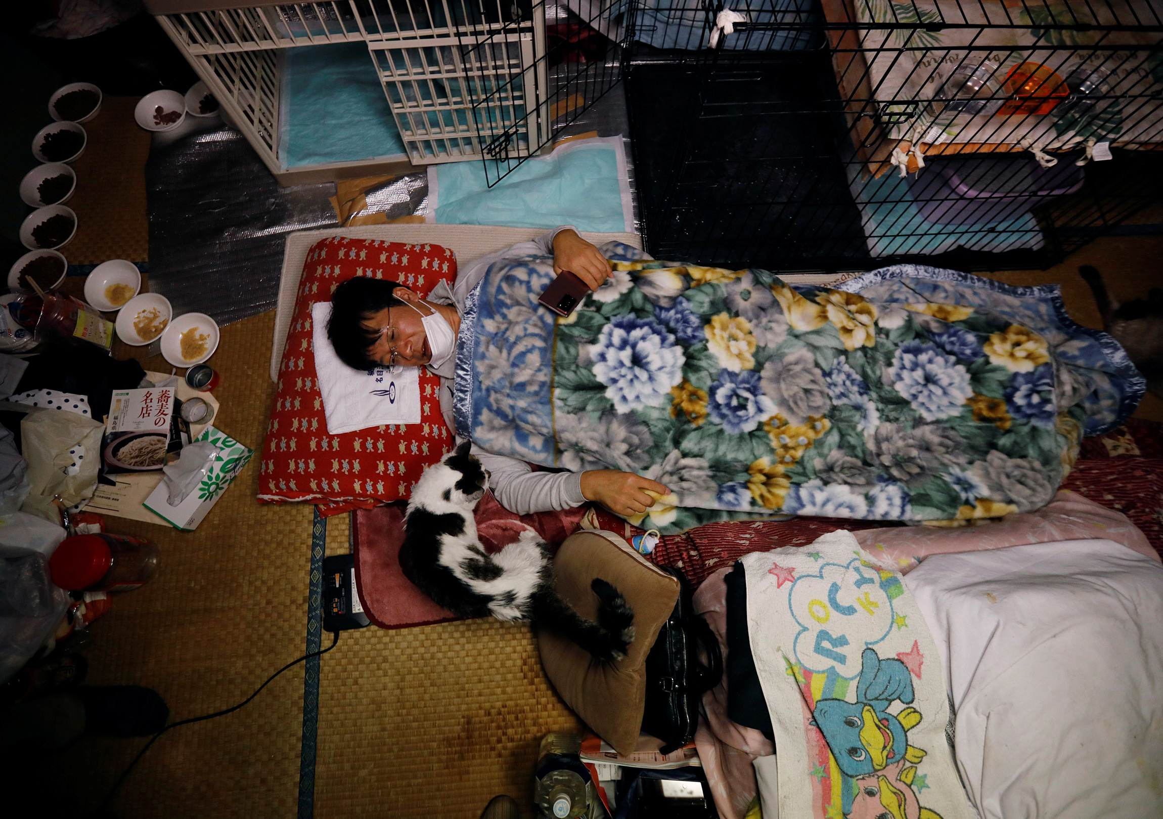 Сакаэ Като&nbsp;после аварии в марте 2011 года&nbsp;отказался покидать свой дом в&nbsp;поселке Намиэ, префектура Фукусима. Вот&nbsp;уже десять лет он&nbsp;живет и ухаживает за брошенными кошками на закрытой территории