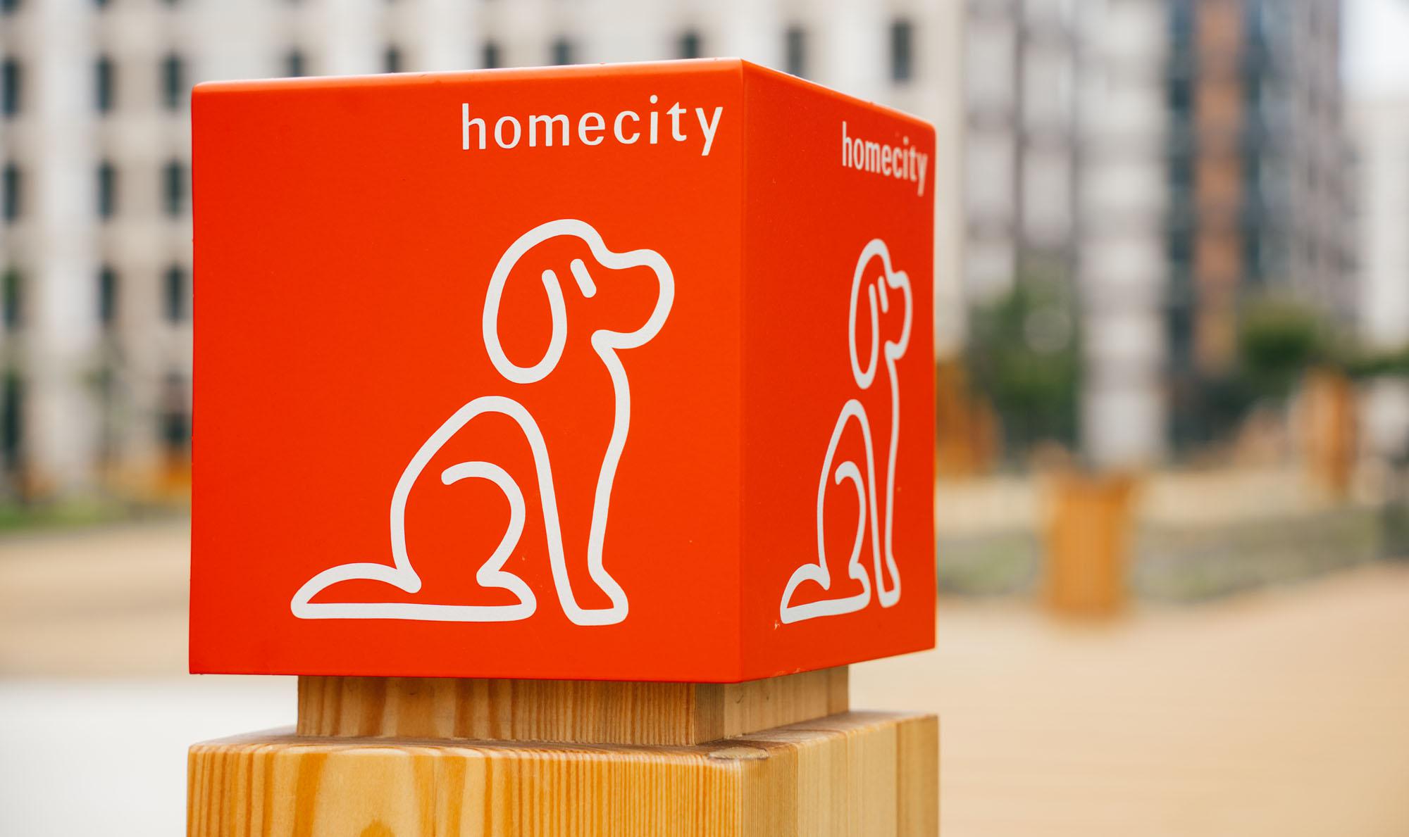 homecity. Фотоотчет за октябрь 2022 года