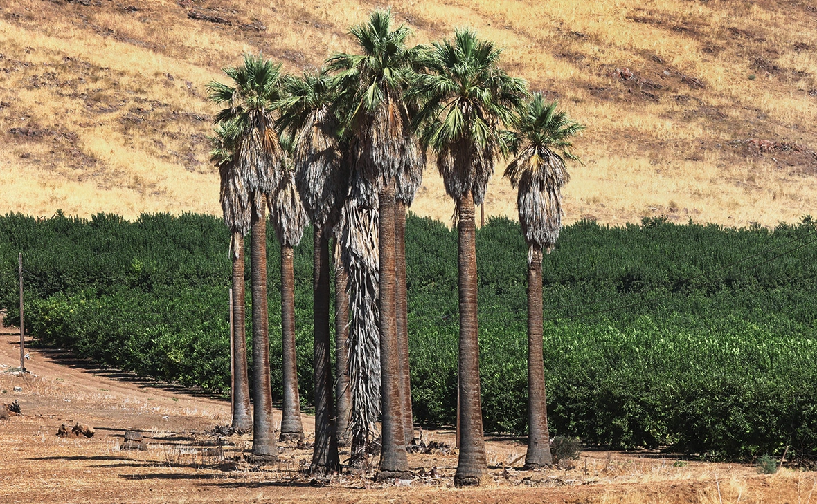 Mario Tama / Getty Images