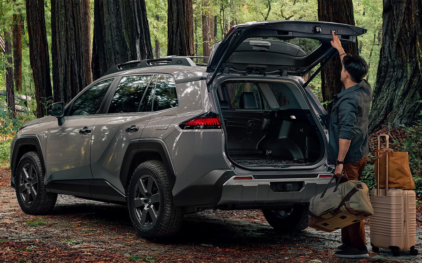 Toyota RAV4 Woodland