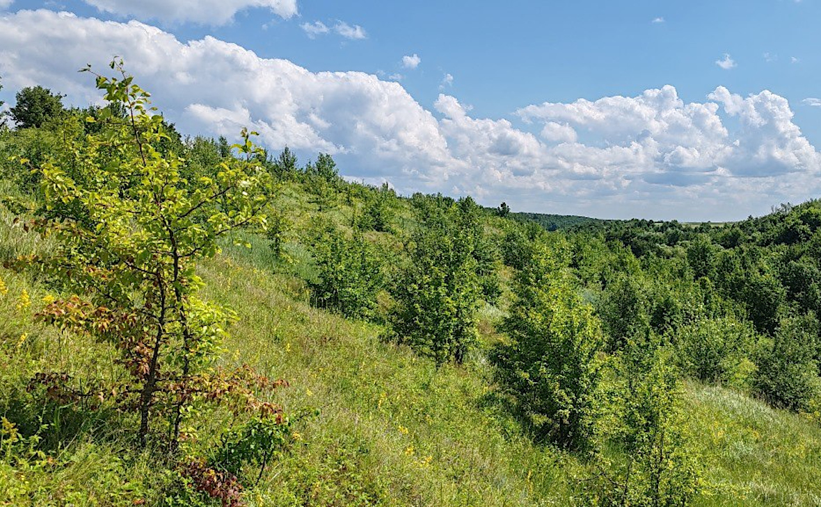 Фото: РБК Черноземье