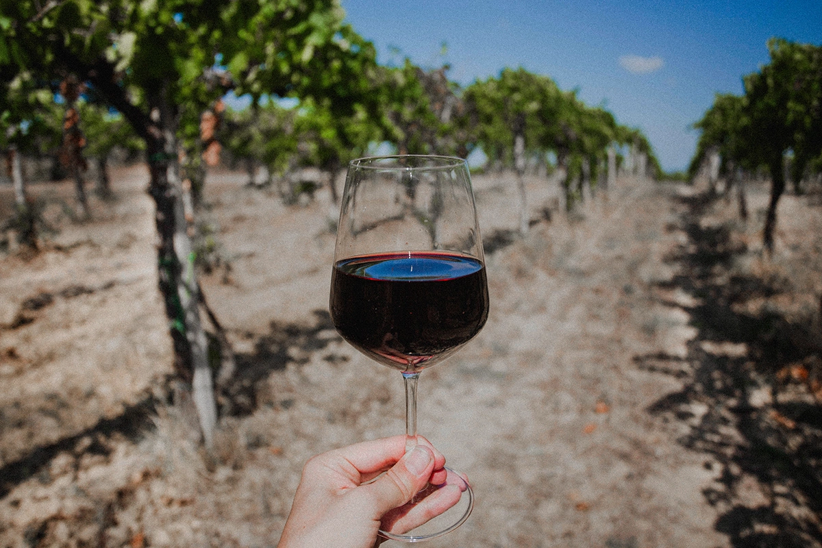 От британской колонии до царства шираза: вина для Дня Австралии