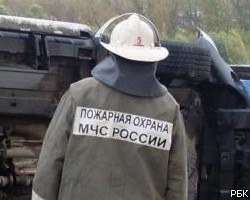 МЧС: Площадь пожаров в РФ за сутки возросла более чем в 40 раз 