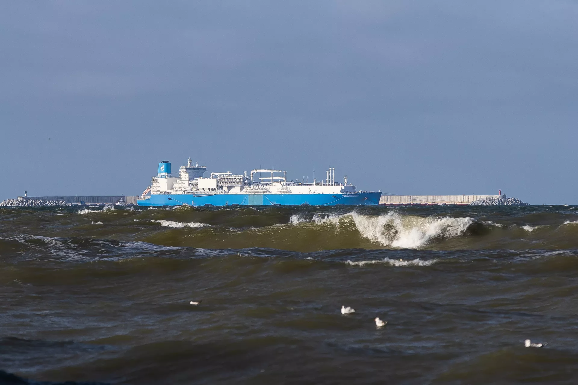 Александр Подгорчук